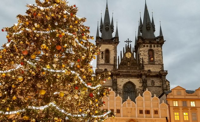 В Праге стартовал конкурс на лучшую рождественскую елку