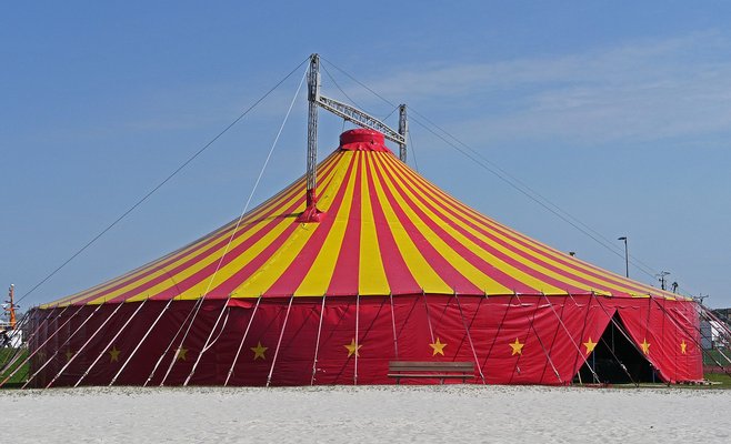 Запрет на выступление животных в цирках так и не вступит в силу