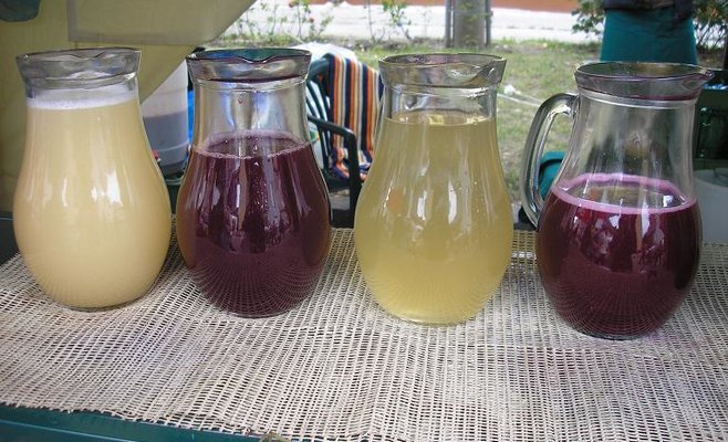 Сезон полуферментированного вина открыт. Как правильно выбрать бурчак?