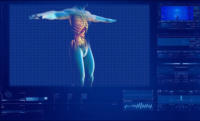 Новый закон о трансплантации органов, взятых у иностранцев, доказал свою эффективность