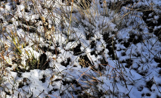 Предупреждение метеорологов: в горах может выпасть первый снег