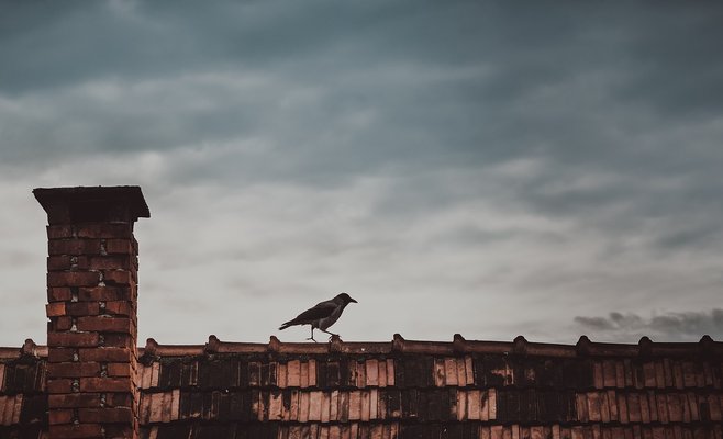 Специалисты призывают владельцев домохозяйств своевременно проверять дымоходы перед отопительным сезоном