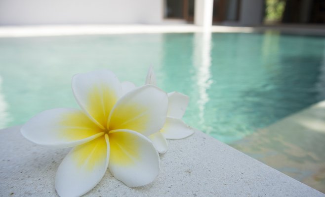 Бассейн своими руками. Чехи все чаще арендуют строительную технику и справляются своими силами