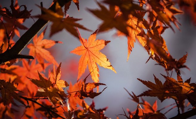 Прогноз погоды на неделю: в четверг в Чехию придет похолодание