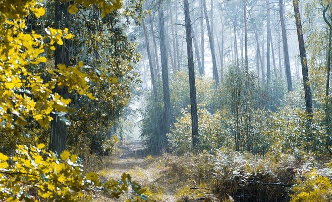 Прогноз погоды: конец недели будет холодным и дождливым, в горах выпадет снег