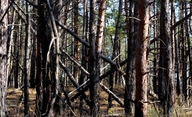 Шторм Мортимера оставил после себя опасные последствия