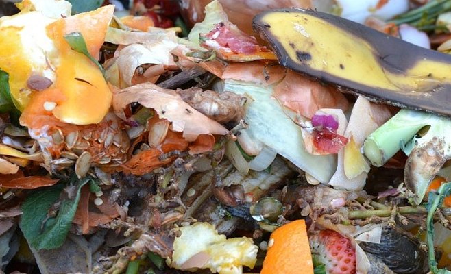 Исследователи из Университета Менделя будут 3 года копаться в мусоре