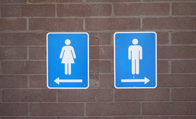 Общественный туалет обошелся Праге более чем в 3,5 млн крон