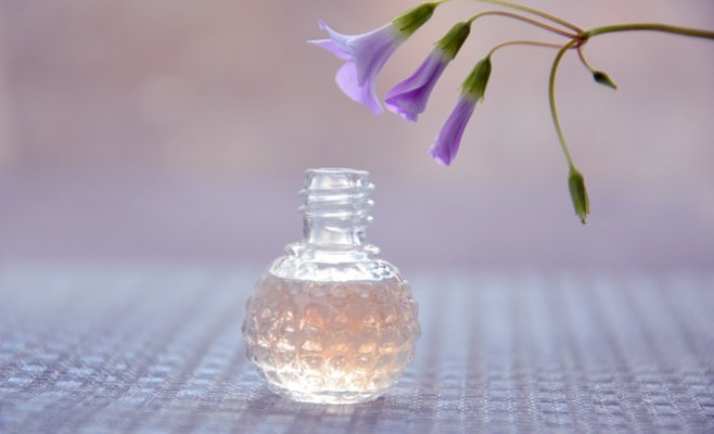 Иностранцы обокрали одну из чешских фирм на 100 тыс. крон. В этом им помогли трусы и носки