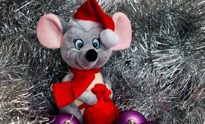 Что надеть в новогоднюю ночь, чтоб крысе угодить? Советы по подбору образа