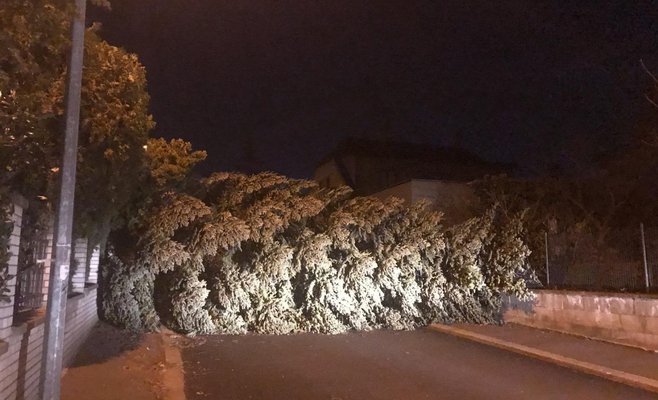 В Чехии бушует ураган Сабина