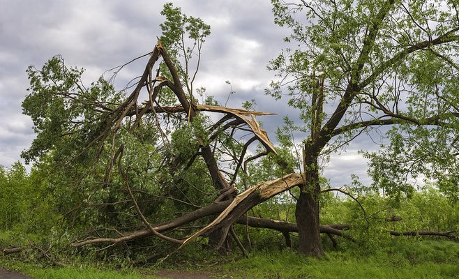 Ураган Сабина нанес ущерб в десятки миллионов крон