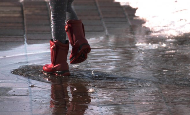 В Чехии снова ветрено