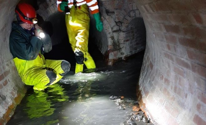 23-летний собутыльник задушил друга-иностранца и сбросил его тело в канализацию