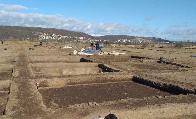 По Чехии прошли проверки трудоустроенных иностранцев: нелегалов отправят домой