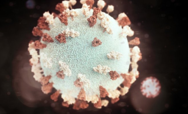 В Чехии уже 28 подтвержденных случаев коронавируса