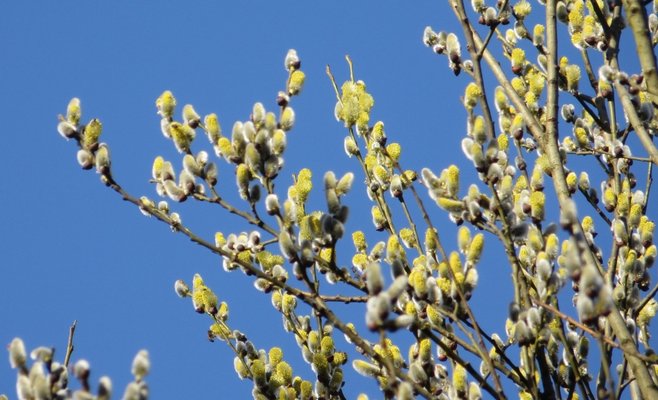 Прогноз погоды: в середине недели будет до 19 градусов, но на выходных снова похолодает