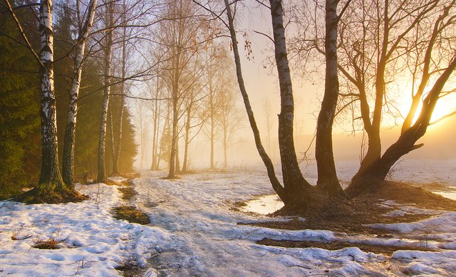 Чешская Республика пережила вторую самую жаркую зиму с 1961 года
