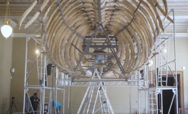 Национальный музей готовится к будущим выставкам