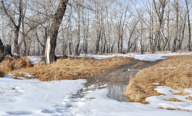 Прогноз погоды на неделю: температура упадет до -10 градусов, но в выходные значительно потеплеет