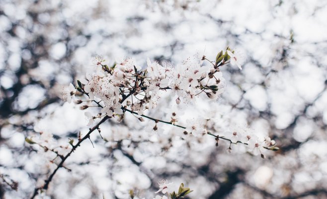 В начале недели похолодает, затем придет потепление