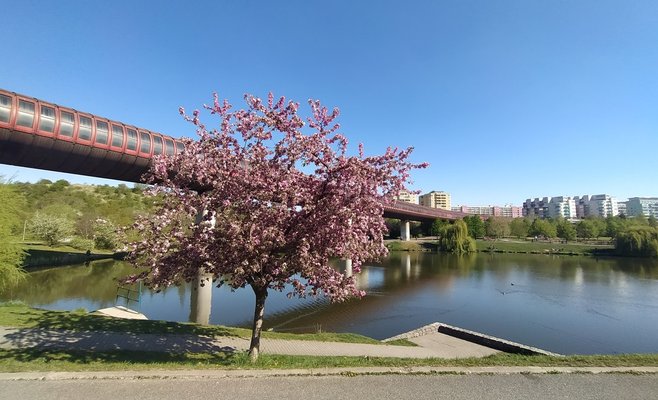 В Чехии начало недели будет холодным, затем придёт потепление