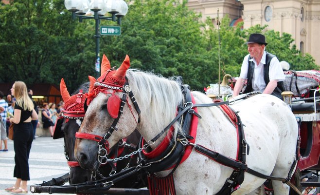 Из центра Праги могут исчезнуть конные экипажи