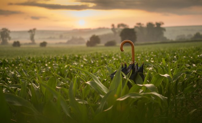 Метеорологи рассказали, какими будут выходные в ЧР
