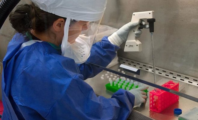 В Чехии зафиксировано рекордное количество пациентов с Covid-19, однако, по словам гигиенистов, это не вторая волна