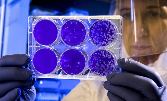 Коронавирус в ЧР бьет рекорды: впервые более 5 тысяч инфицированных, более 200 новых случаев