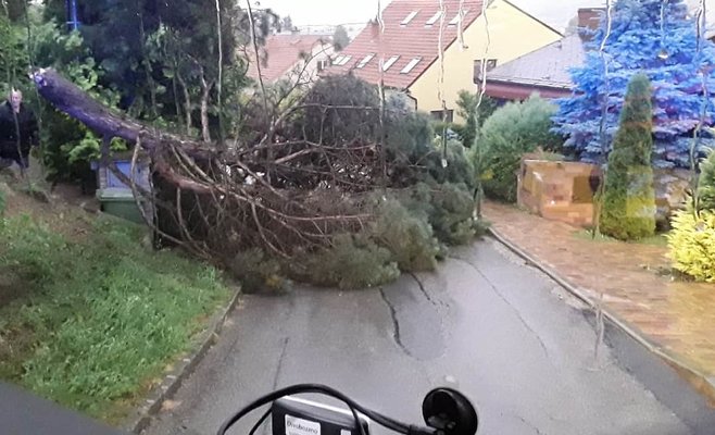 Сильный шторм оставил без электричества десятки тысяч домохозяйств