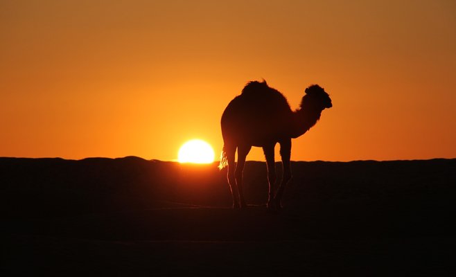 В понедельник Чешская Республика внесет Тунис в список безопасных стран