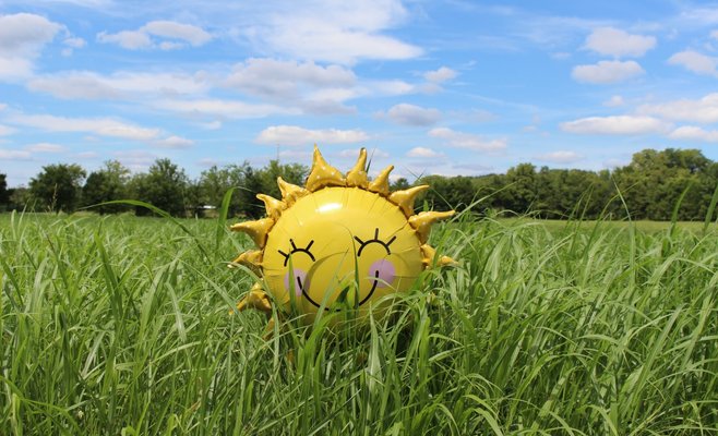 Метеорологи рассказали, каким будет последний месяц лета