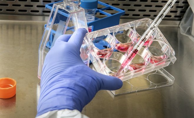 В Чехии зарегистрирован самый высокий рост заболеваемости Covid-19 с начала апреля