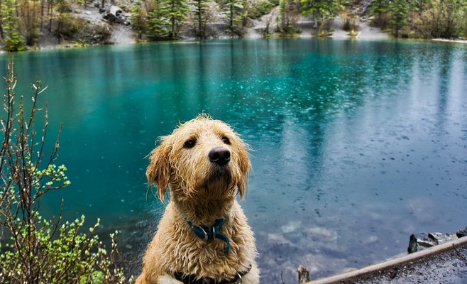 Прогноз погоды: Чехию ожидает дождливая неделя