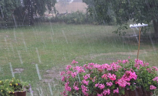 Это лето было самым дождливым за последние десять лет