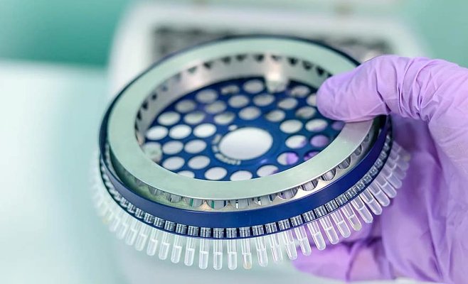 В Праге появятся три новые точки отбора проб на Covid-19