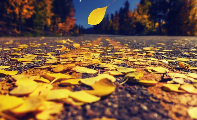 Метеорологи рассказали, каким будет начало астрономической осени