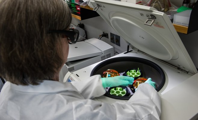 Ежедневный прирост числа инфицированных в Чешской Республике опять приближается к 3 тысячам