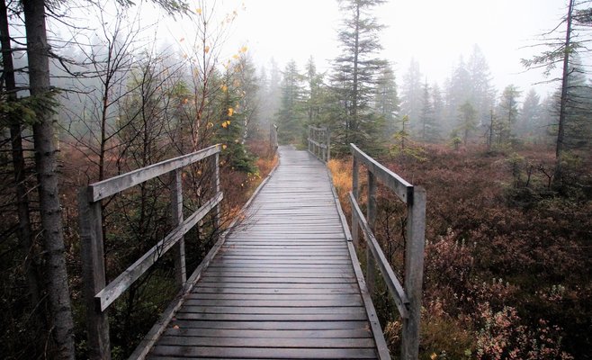 Прогноз погоды: на этой неделе в Чехии выпадет первый снег