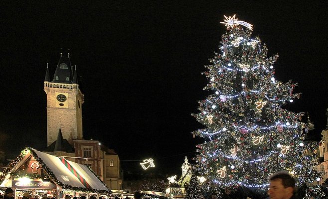 Стало известно, какая елка украсит Староместскую площадь в этом году