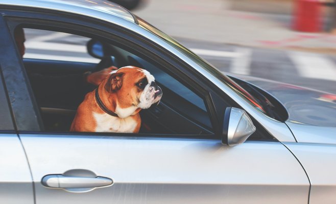 В Чехии продлен срок действия водительских прав
