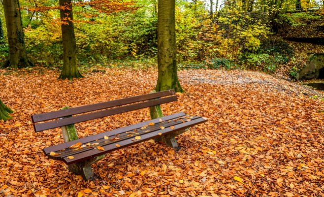 Метеорологи рассказали, какая погода ожидается в ноябре