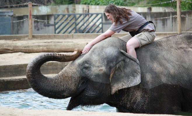 Пражский зоопарк получит от города 45 млн крон на покрытие убытков из-за закрытия