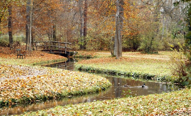 Метеорологи рассказали, какая погода ожидает Чехию в ближайший месяц