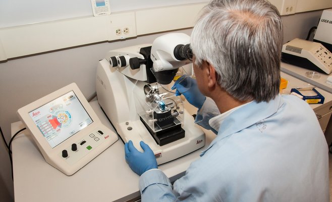 Чешские ученые изобрели бумагу, способную убивать коронавирус