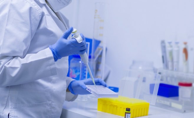 Оценка PES в Чехии снова выросла и составляет 71 балл