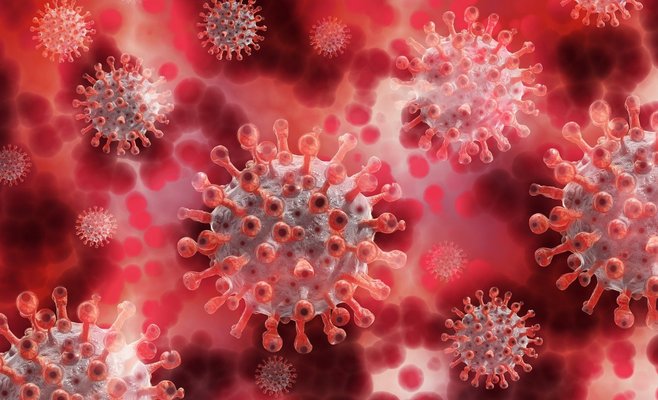 В Чехии подозревают первый случай британской мутации коронавируса