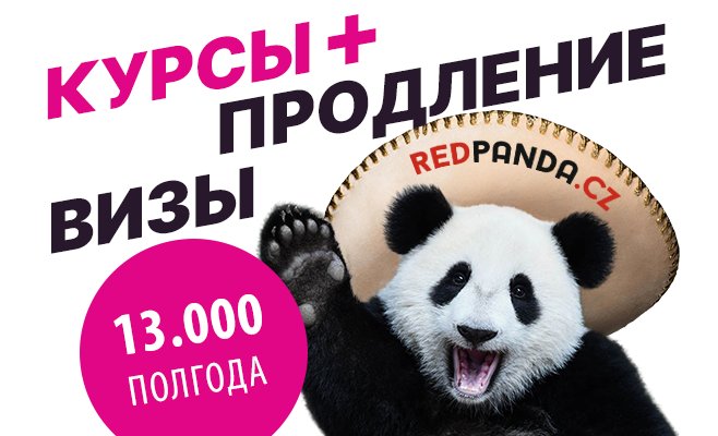 Курсы + продление визы бесплатно