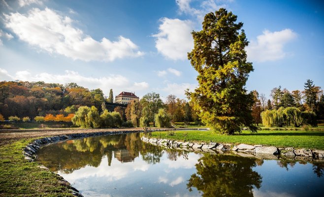 Пражские парки ожидает масштабная реконструкция
